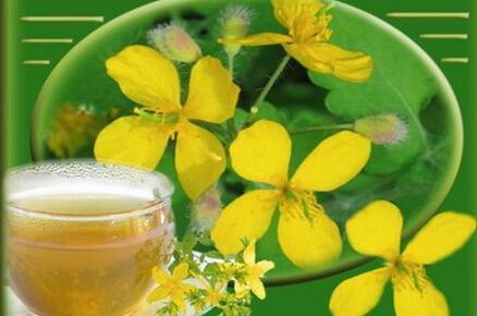 decoction of celandine herb from the fungus